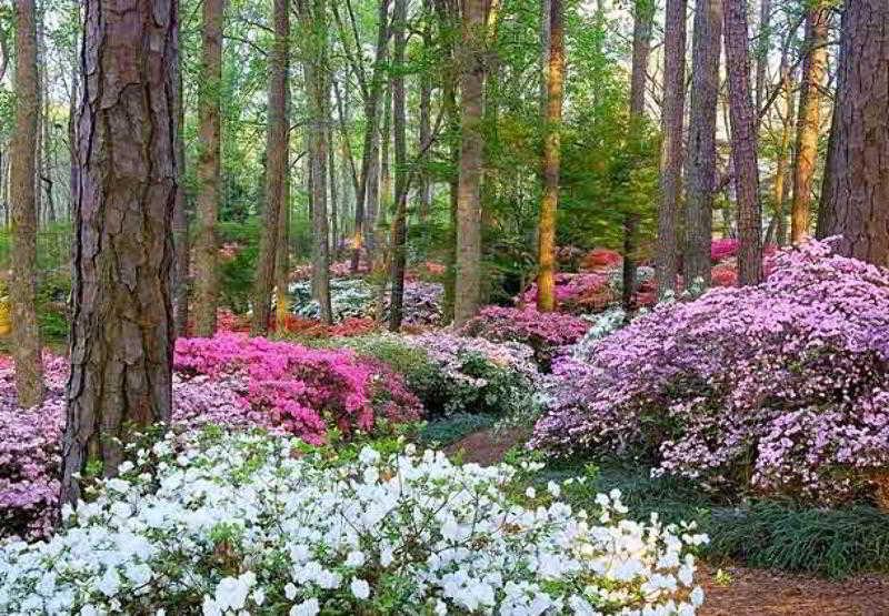 The Lodge And Spa At Callaway Gardens Pine Mountain  Dış mekan fotoğraf